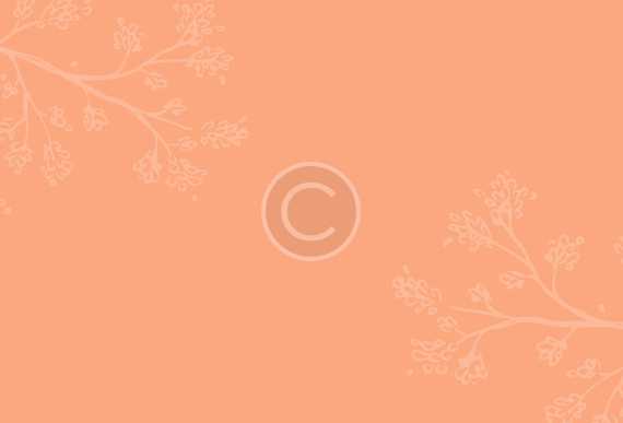 header background